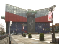 ��ͷ�ۡ�ŷ�ݻ��ϡ��С��ӥ�å�